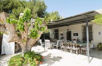 Eladó Spanyolországi tanya hirdetés (75416693)