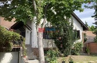 Eladó Ráckevei családi ház hirdetés (29743454)