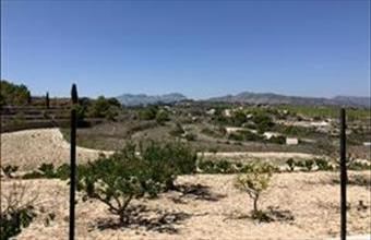 Eladó Spanyolországi lakóövezeti telek hirdetés (63495254)