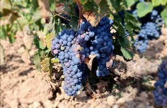 Eladó Spanyolországi lakóövezeti telek hirdetés (38791422)