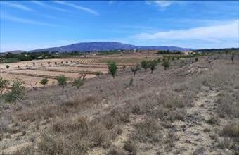 Eladó Spanyolországi lakóövezeti telek hirdetés (35266476)