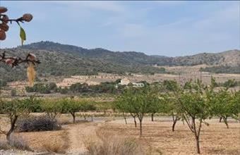 Eladó Spanyolországi lakóövezeti telek hirdetés (67247692)