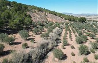 Eladó Spanyolországi lakóövezeti telek hirdetés (79443268)