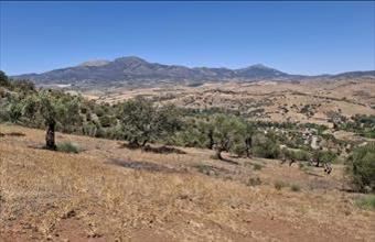 Eladó Spanyolországi lakóövezeti telek hirdetés (99744313)