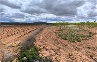 Eladó Spanyolországi lakóövezeti telek hirdetés (98336948)