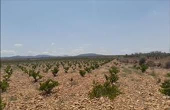 Eladó Spanyolországi lakóövezeti telek hirdetés (96893329)