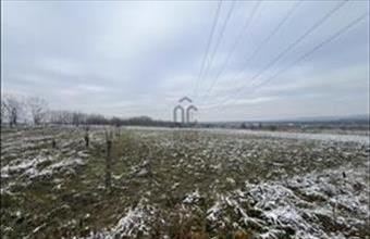 Eladó Szadai külterületi telek hirdetés (18914793)