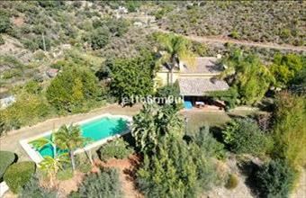 Eladó Spanyolországi tanya hirdetés (74499819)