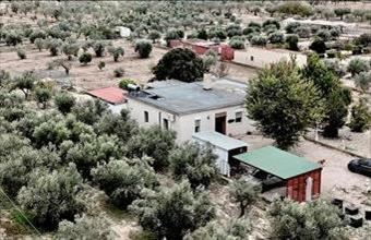 Eladó Spanyolországi üdülő hirdetés (28665196)