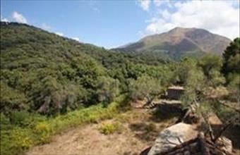 Eladó Spanyolországi tanya hirdetés (37766781)