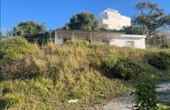 Eladó Spanyolországi tanya hirdetés (65886392)