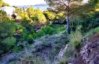 Eladó Spanyolországi lakóövezeti telek hirdetés (33143795)