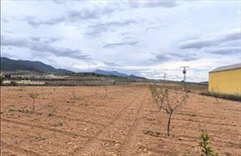 Eladó Spanyolországi lakóövezeti telek hirdetés (84895371)