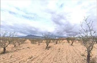 Eladó Spanyolországi lakóövezeti telek hirdetés (34537437)