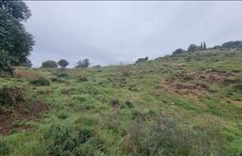 Eladó Spanyolországi lakóövezeti telek hirdetés (47334774)