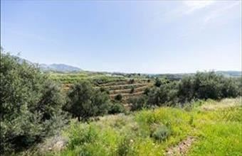 Eladó Spanyolországi lakóövezeti telek hirdetés (71151495)