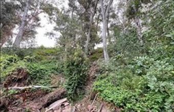 Eladó Spanyolországi lakóövezeti telek hirdetés (49939734)