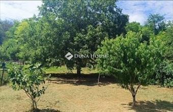 Eladó Úri családi ház hirdetés (49552537)