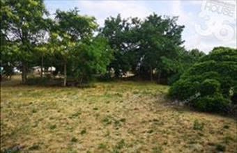 Eladó Lakiteleki egyéb ipari ingatlan hirdetés (48676434)