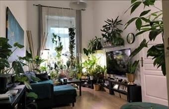 Eladó Budapest I. kerületi tégla lakás hirdetés (54293577)