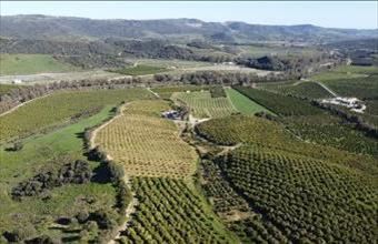 Eladó Spanyolországi lakóövezeti telek hirdetés (47158849)