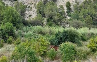 Eladó Spanyolországi lakóövezeti telek hirdetés (87147788)