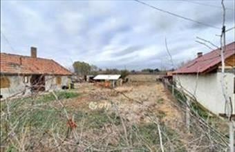 Eladó Pilisi külterületi telek hirdetés (76717972)