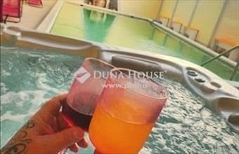 Eladó Dabasi családi ház hirdetés (59491395)