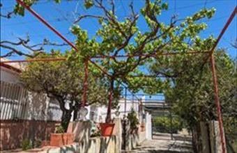 Eladó Spanyolországi tanya hirdetés (42754397)