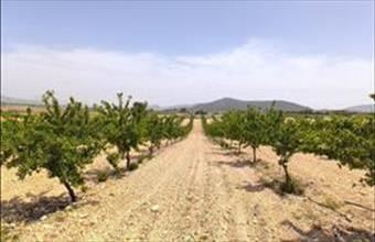 Eladó Spanyolországi lakóövezeti telek hirdetés (34494559)