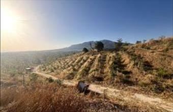 Eladó Spanyolországi lakóövezeti telek hirdetés (36536535)