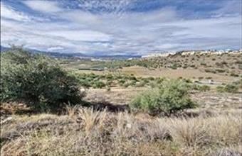 Eladó Spanyolországi lakóövezeti telek hirdetés (49498398)