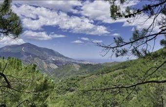 Eladó Spanyolországi lakóövezeti telek hirdetés (54269413)