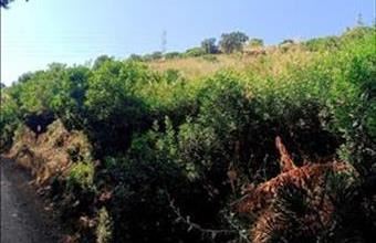 Eladó Spanyolországi lakóövezeti telek hirdetés (33844495)