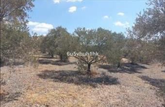 Eladó Spanyolországi lakóövezeti telek hirdetés (89479559)