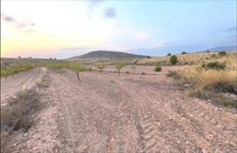 Eladó Spanyolországi lakóövezeti telek hirdetés (72351921)