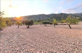 Eladó Spanyolországi lakóövezeti telek hirdetés (38278332)