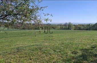 Eladó Balatonkenesei külterületi telek hirdetés (52653568)