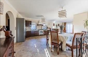 Kiadó Budakalászi családi ház hirdetés (87396313)