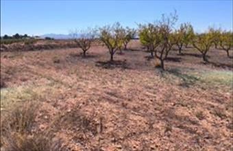 Eladó Spanyolországi lakóövezeti telek hirdetés (67373632)