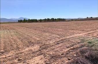 Eladó Spanyolországi lakóövezeti telek hirdetés (35943457)