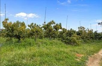 Eladó Spanyolországi üdülő hirdetés (22488234)