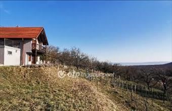 Eladó Monoszlói egyéb mezőgazdasági ingatlan hirdetés (34579824)