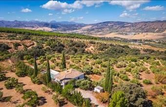 Eladó Spanyolországi tanya hirdetés (34529242)