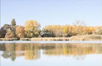 Eladó Szigetcsépi üdülőövezeti telek hirdetés (23244144)