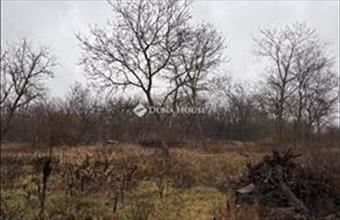 Eladó Őrbottyáni lakóövezeti telek hirdetés (27453233)