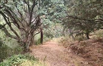 Eladó Spanyolországi lakóövezeti telek hirdetés (43333939)