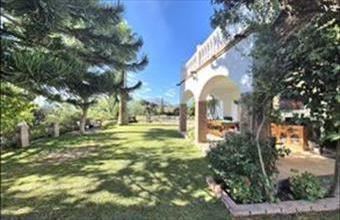 Eladó Spanyolországi üdülő hirdetés (34353293)