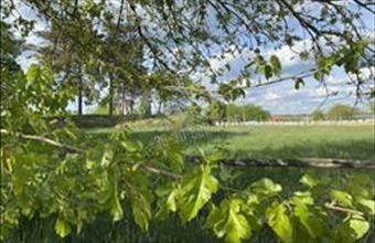 Eladó Dabasi egyéb telek hirdetés (24149333)