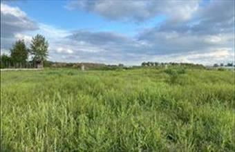 Eladó Dabasi egyéb telek hirdetés (75432825)